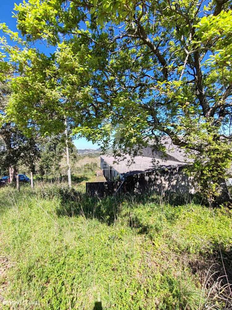 Pavilhão - Grande imagem: 3/21