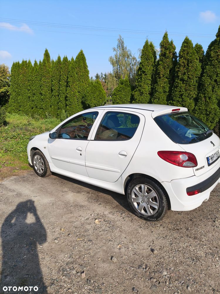 Peugeot 206 plus - 1