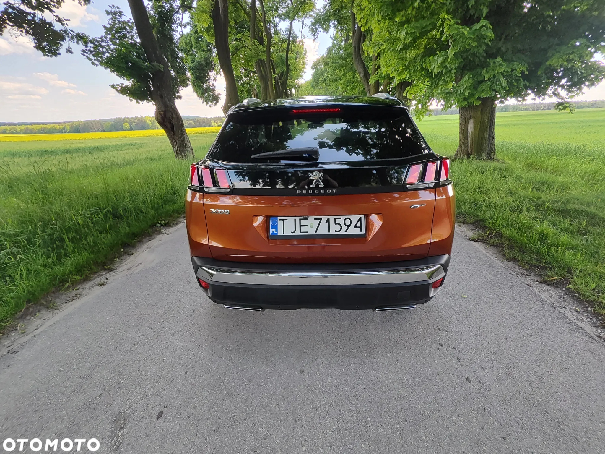 Peugeot 3008 2.0 BlueHDi GT S&S EAT8 - 18