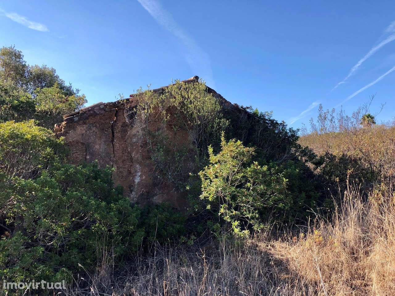 PROPRIEDADE RUSTICA COM RUINA PARA  RECONSTRUÇÃO, BENSAFRIM - Grande imagem: 2/10