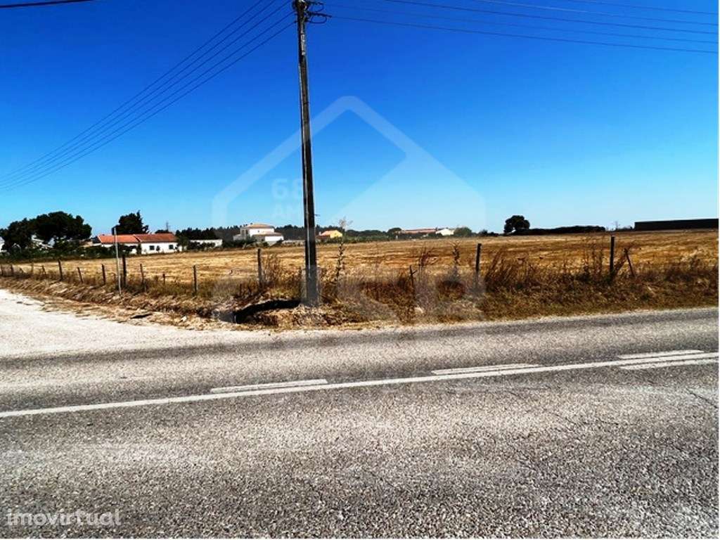 Terreno na Coutada Velha, Benavente - Grande imagem: 4/4