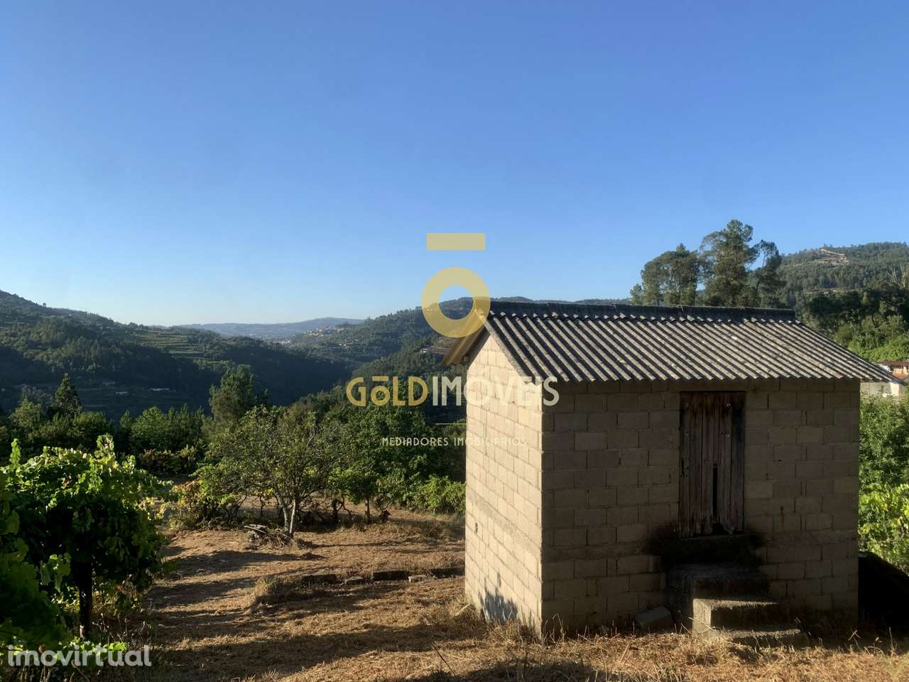 Terreno em Travanca - Cinfães - Grande imagem: 2/12