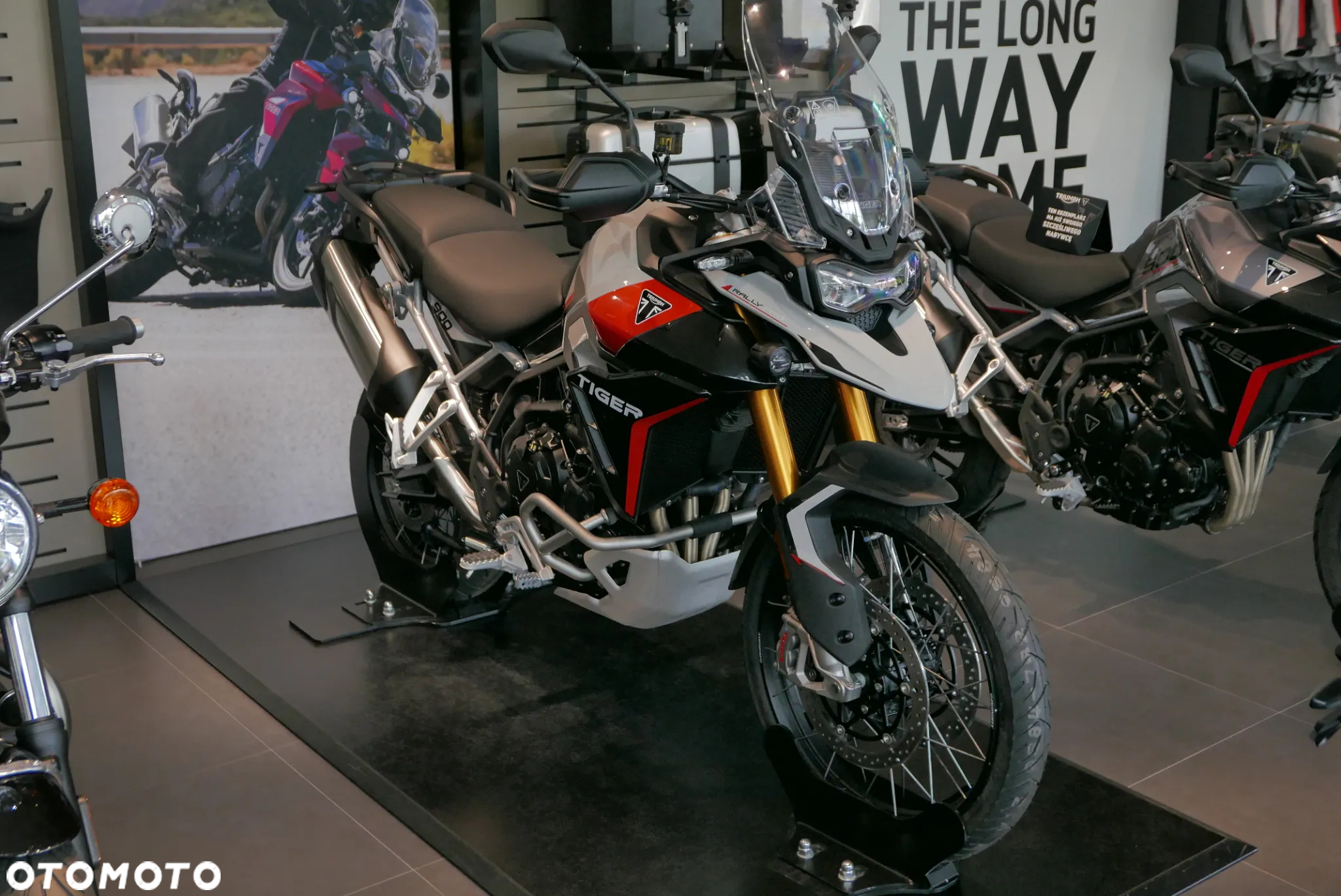 Triumph Tiger - 6