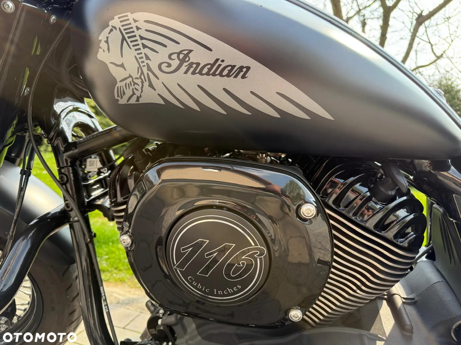 Indian Chief - 20