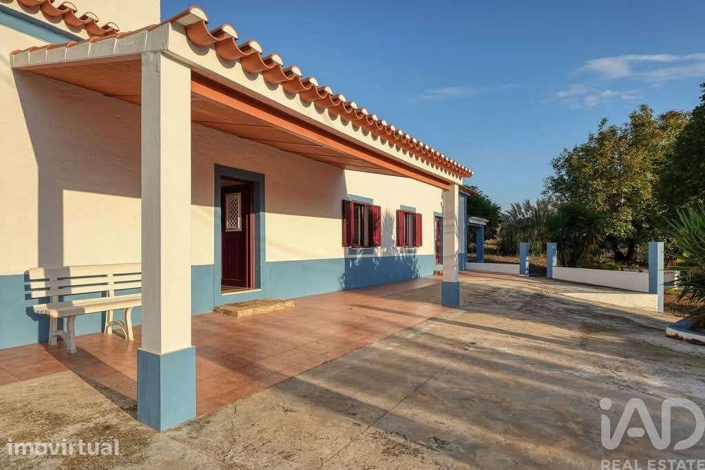 Quinta T3 em Terrugem e Vila Boim de 130 m2 - Grande imagem: 5/23