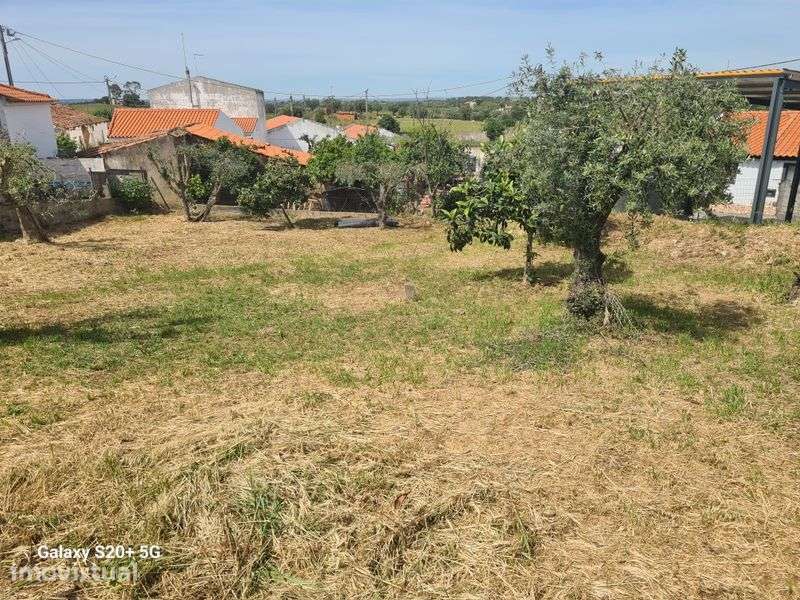 Quintal com casa - Grande imagem: 2/7