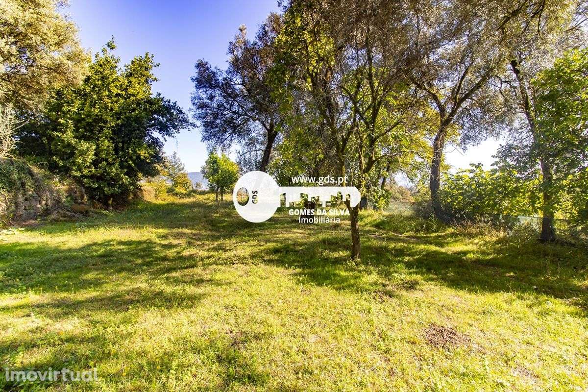 Quinta com 8000m2 de terreno em Pico de Regalados - Grande imagem: 3/26