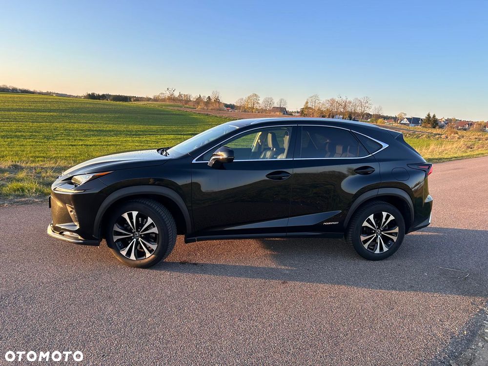 Lexus NX 300h F Impression AWD - 5