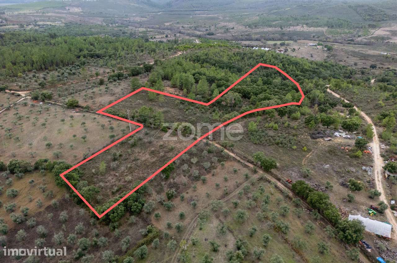 Terreno Rústico com 12.120 m² em Freixial do Campo - Castelo Branco - Grande imagem: 3/22
