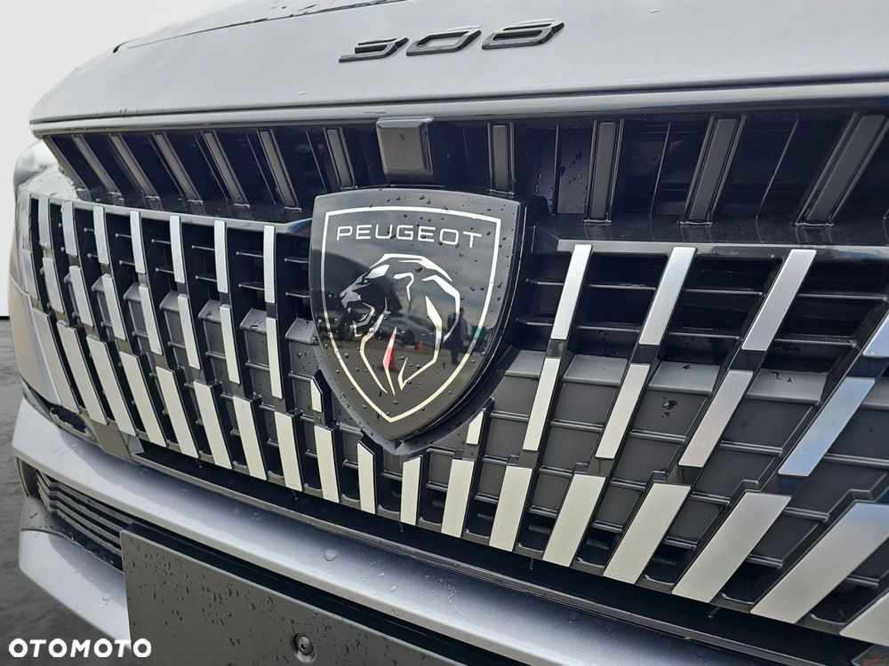 Peugeot 308 - 19