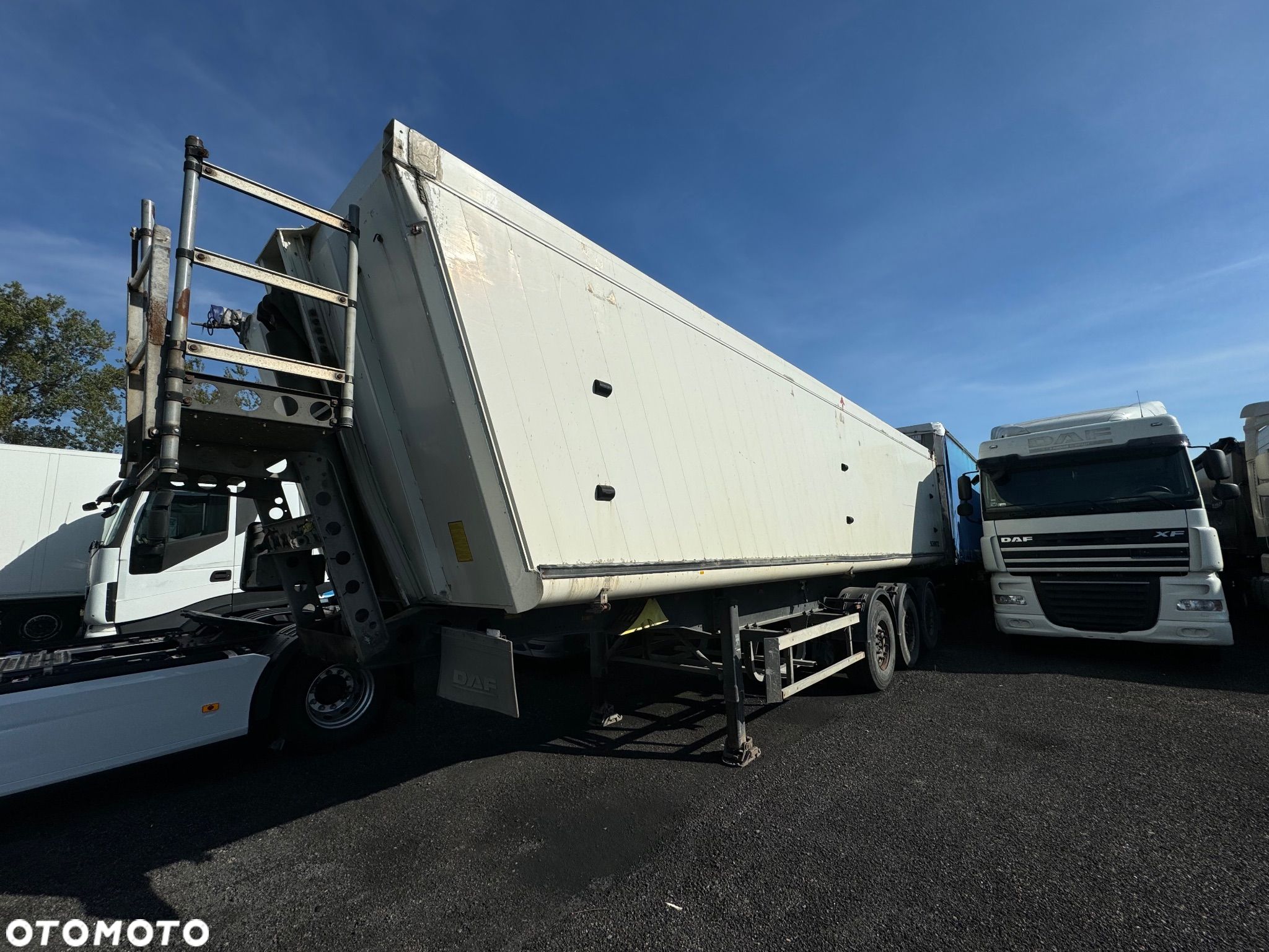 Schmitz Cargobull - 1