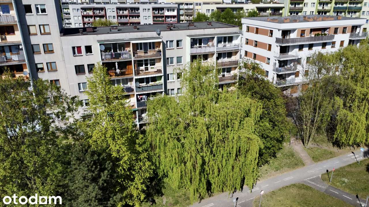 | 1 Piętro | Duży Balkon | Opcja 3 pokoi | Super lokalizacja |