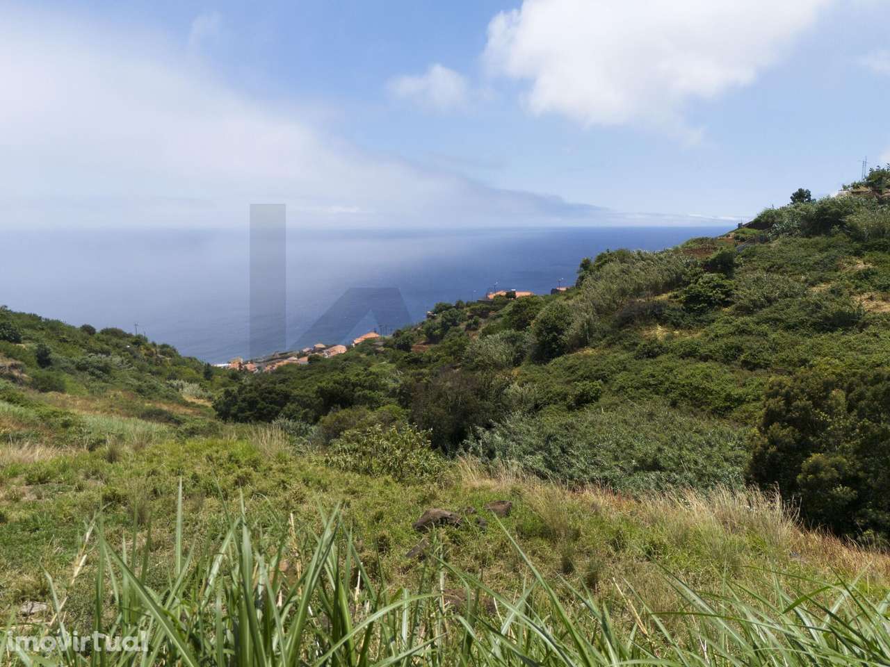 Terreno à venda em Santa Cruz com viabilidade de construção. - Grande imagem: 3/19