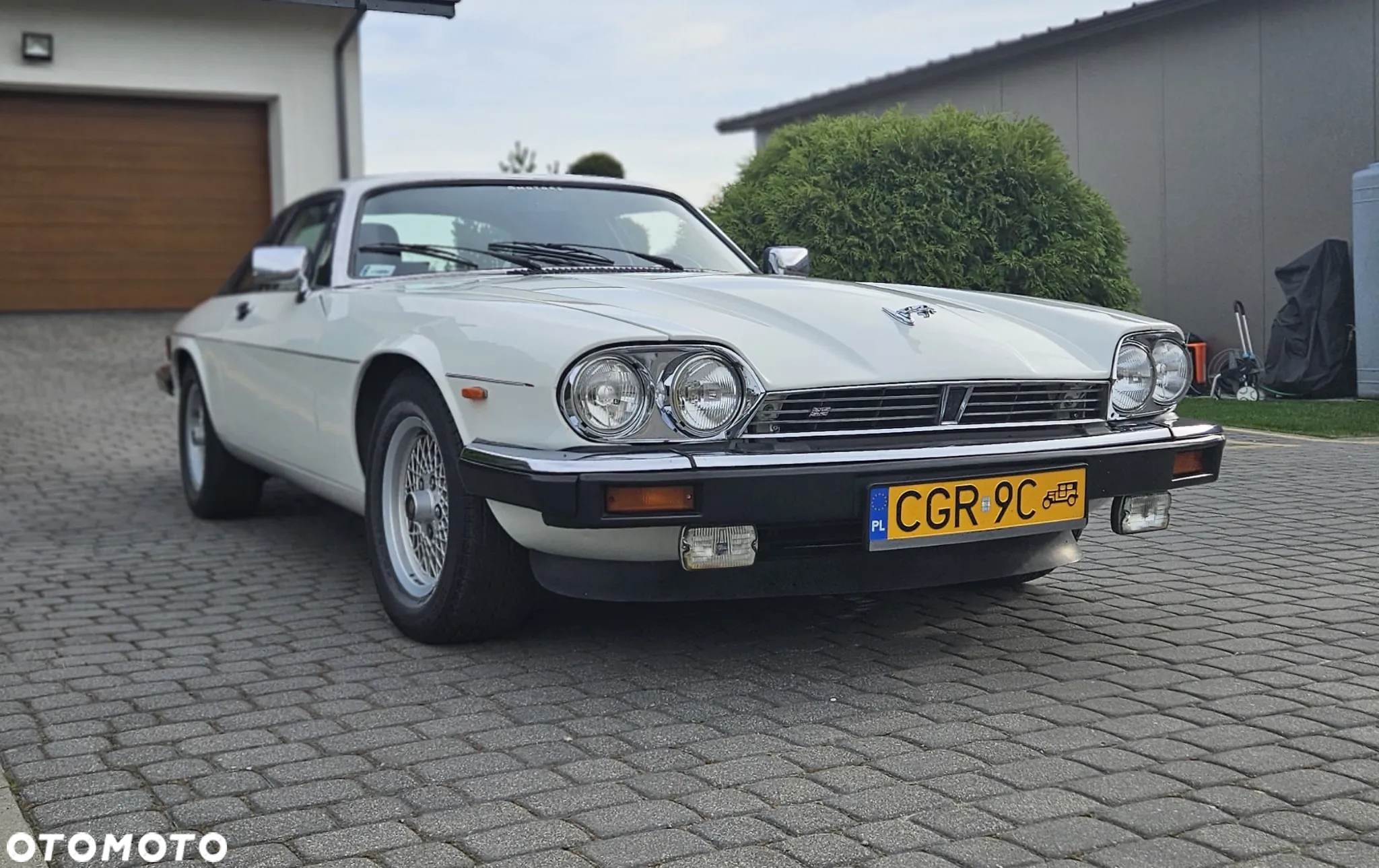 Jaguar XJS 3.6 - 6