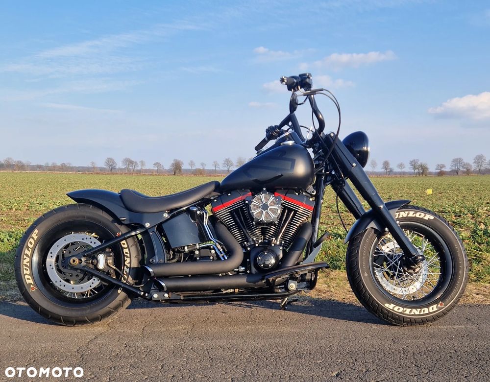 Harley-Davidson Softail Heritage Classic - 1