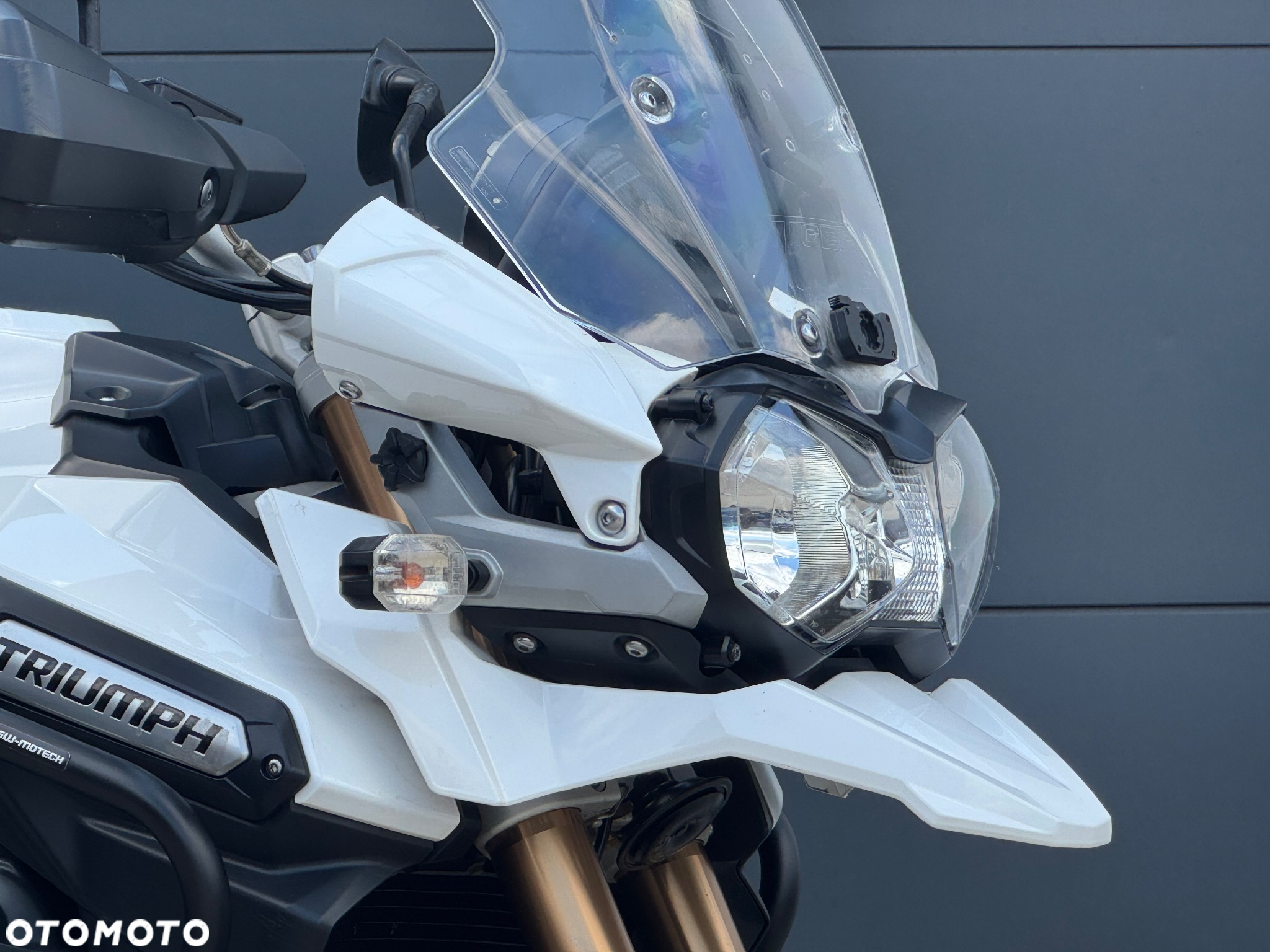 Triumph Tiger - 3