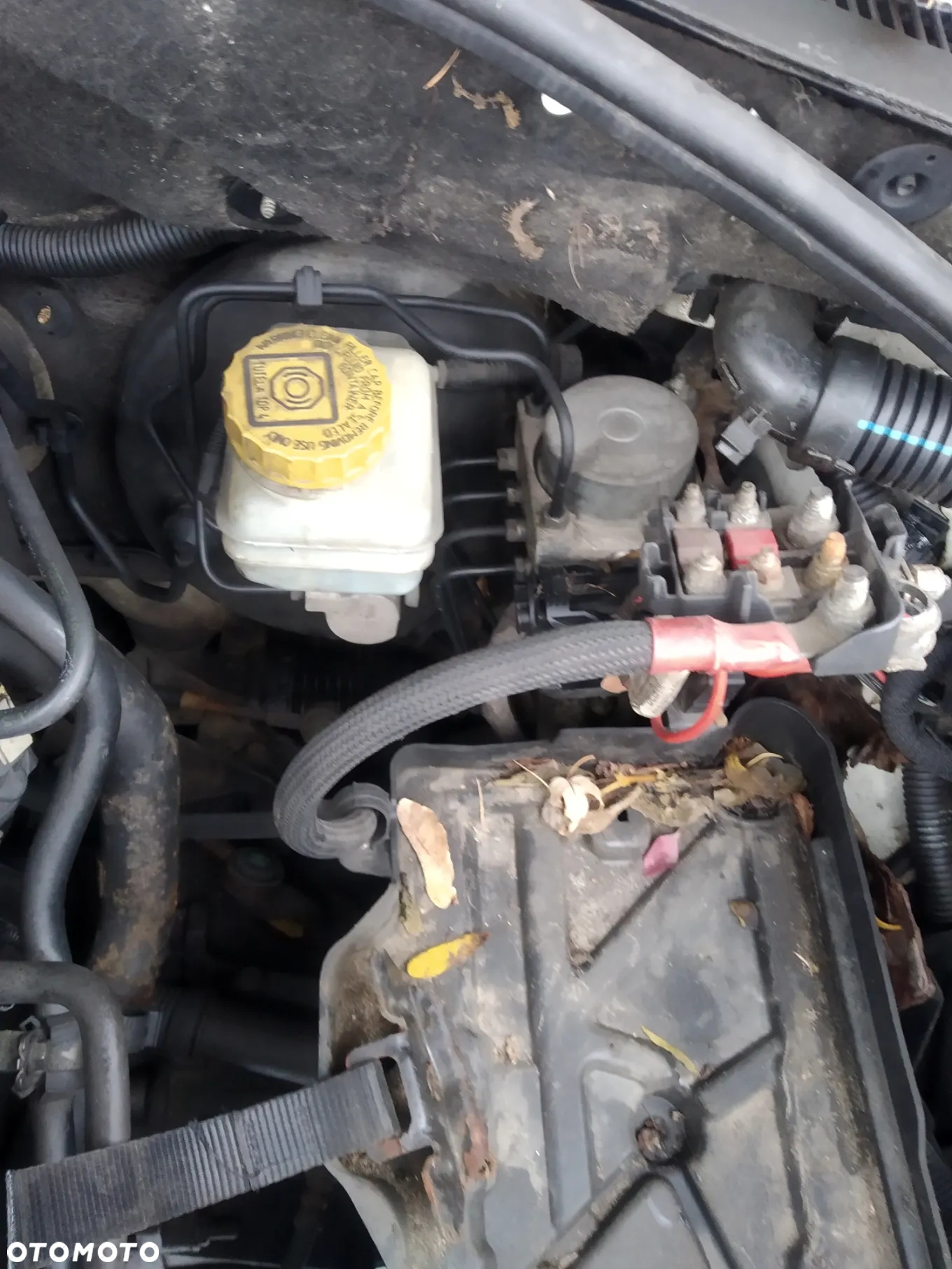 FIAT GRANDE PUNTO 05-09 1.3 MULTIJET - KLAPKA WLEWU PALIWA 249 - 31