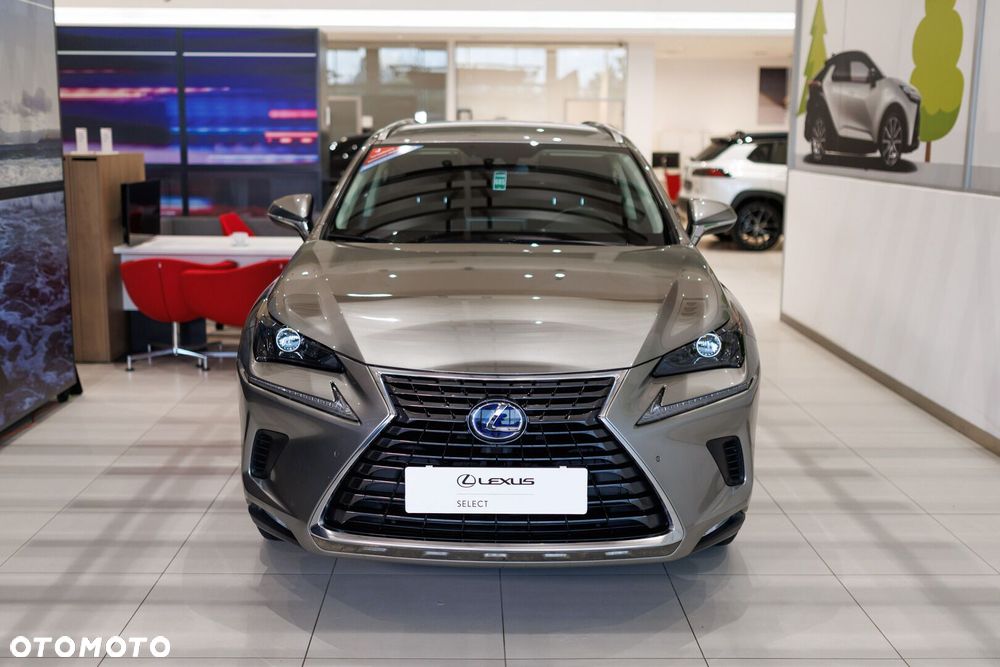 Lexus NX 300h Business Edition AWD - 2