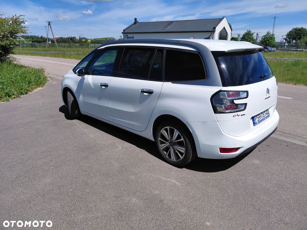 Citroën C4 Picasso 1.6 BlueHDi MoreLife - 7