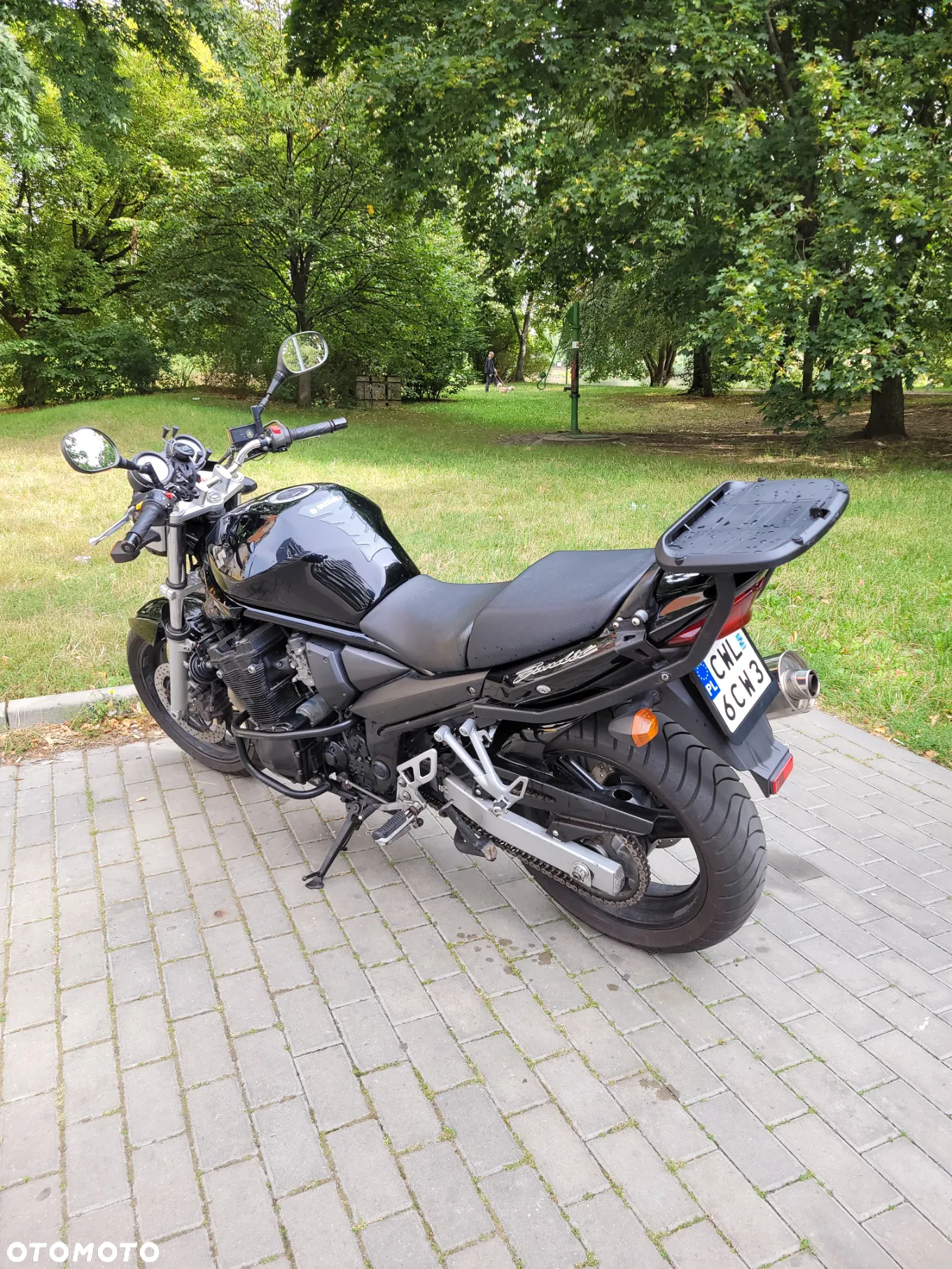 Suzuki Bandit - 3