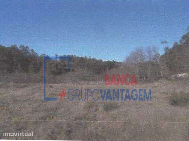 LOTEAMENTO MORADIAS - POVOA DE LANHOSO - Grande imagem: 4/12