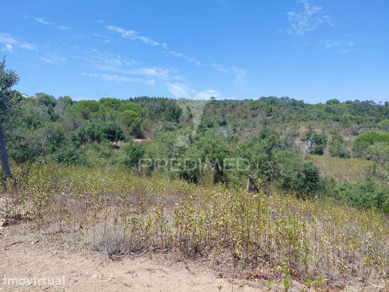 Herdade a 15 minutos da Lagoa de S.André. - Grande imagem: 5/7