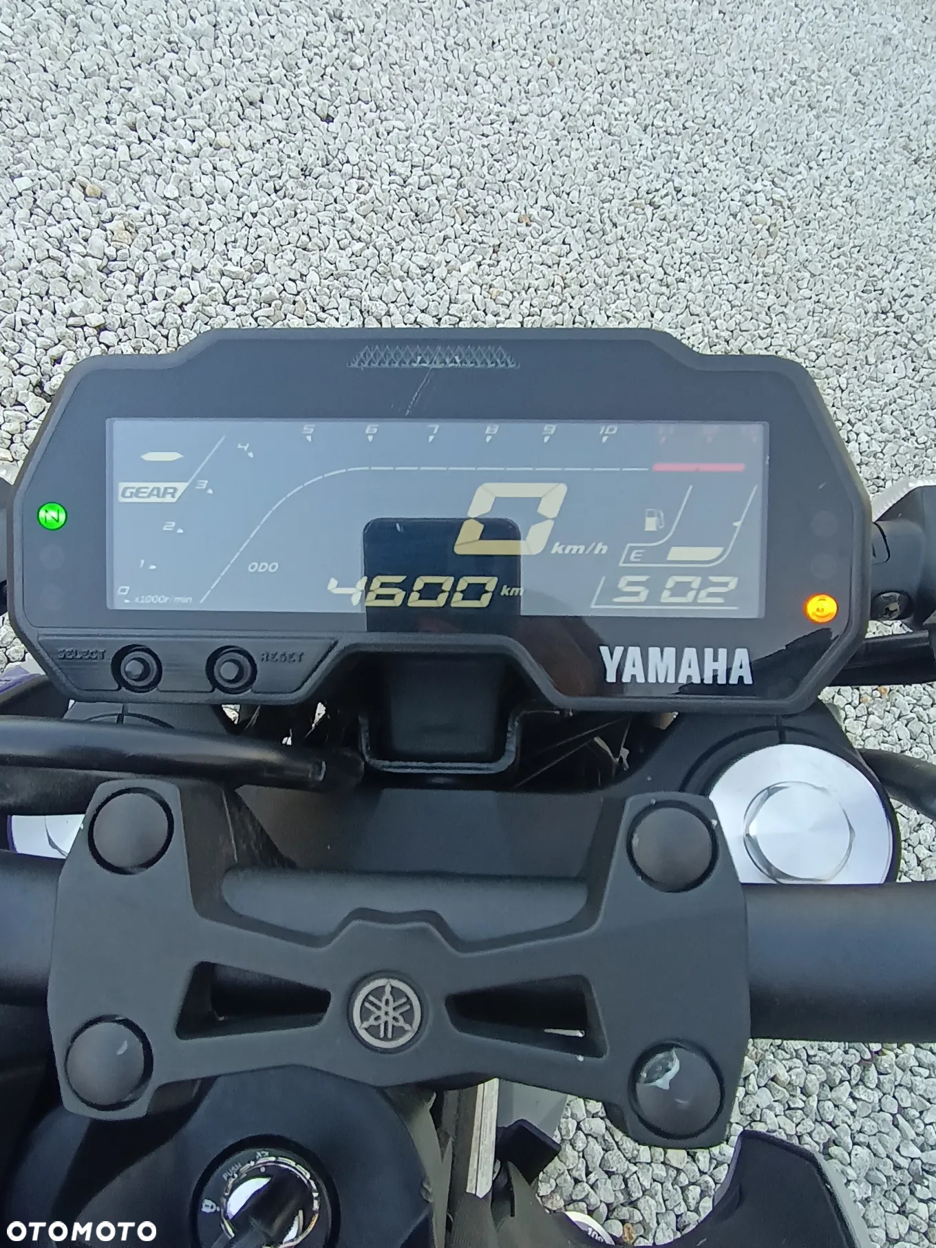 Yamaha MT - 9