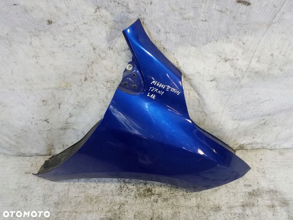 BŁOTNIK PRZÓD RENAULT MEGANE III KOD TERNA - 8