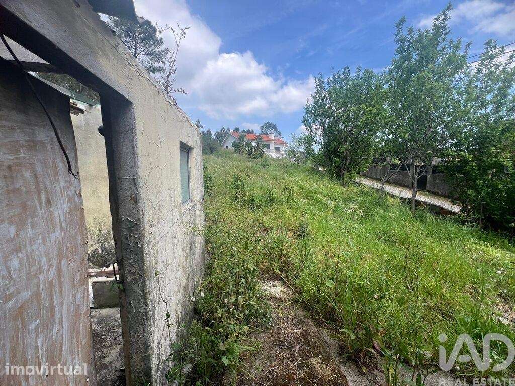 Moradia térrea T2 em Campo e Sobrado de 56 m2 - Grande imagem: 4/15