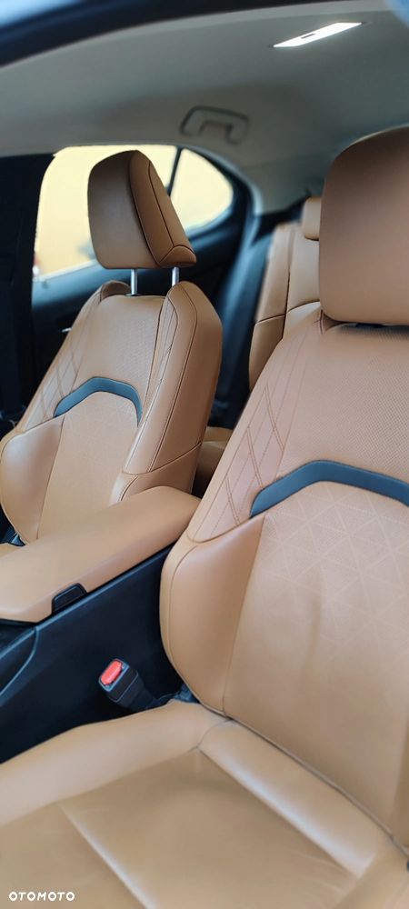 Lexus UX 300e 54.3 kWh Prestige 2WD - 14