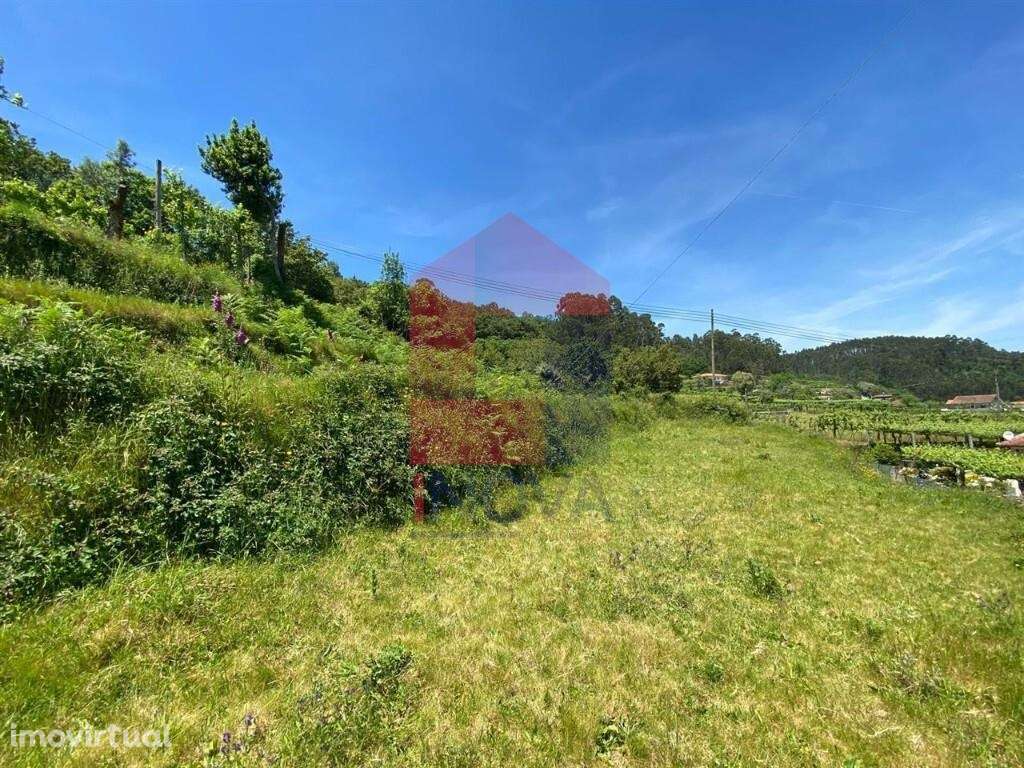 Terreno localizado em zona agrícola, Penascais - Grande imagem: 3/33