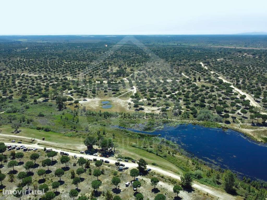 Terreno na Mata do Duque II, Santo Estêvão - Grande imagem: 4/6