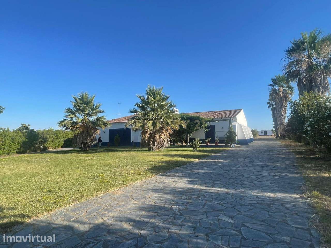 Quinta de Charme no Alentejo – 2,5 Hectares a 6 km de Reguengos de Mon - Grande imagem: 2/47