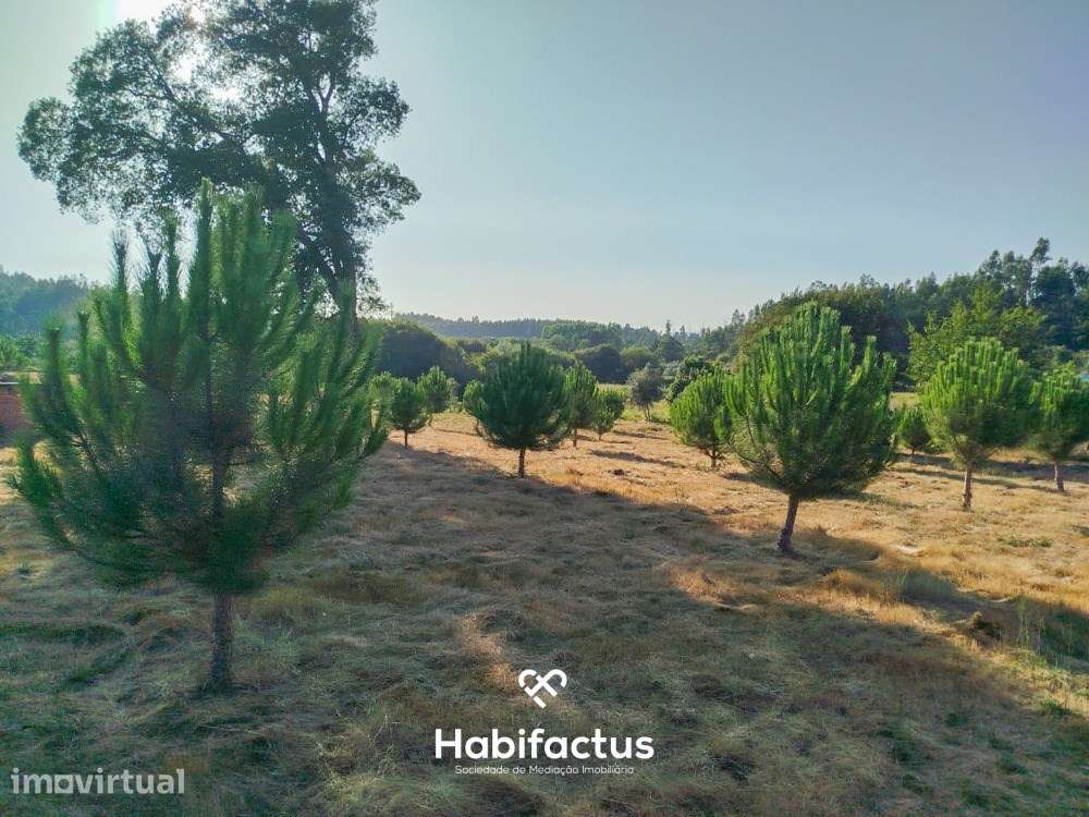 Terreno para venda com Cerca de 1 Hectare  – Tondela - Grande imagem: 4/11