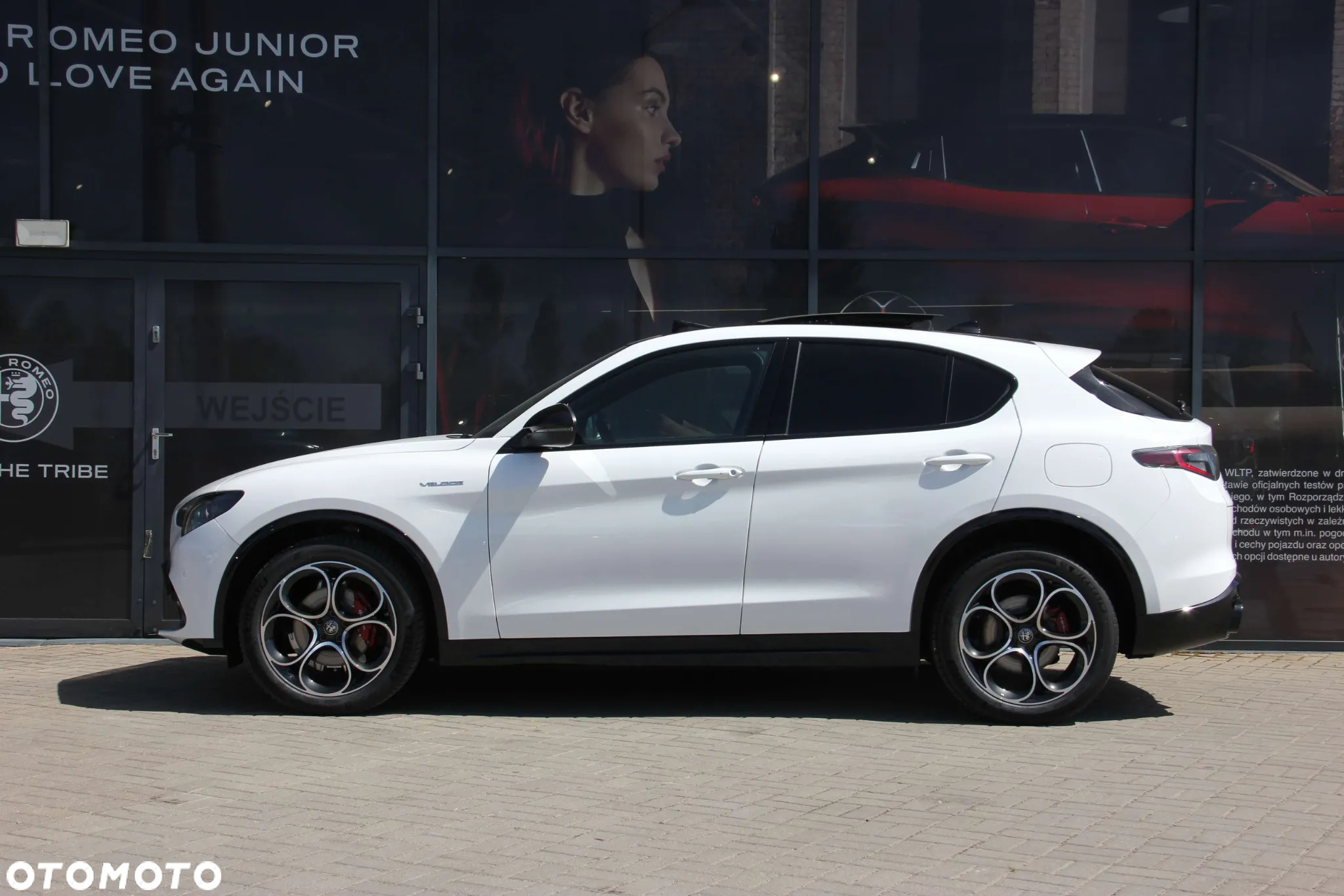 Alfa Romeo Stelvio 2.0 Turbo Veloce Q4 - 2