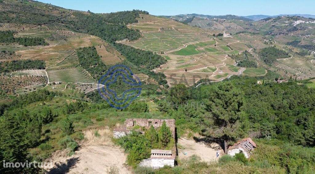 Quinta das Beatas: 56ha de história e ruínas com capela no coração do - Grande imagem: 3/24