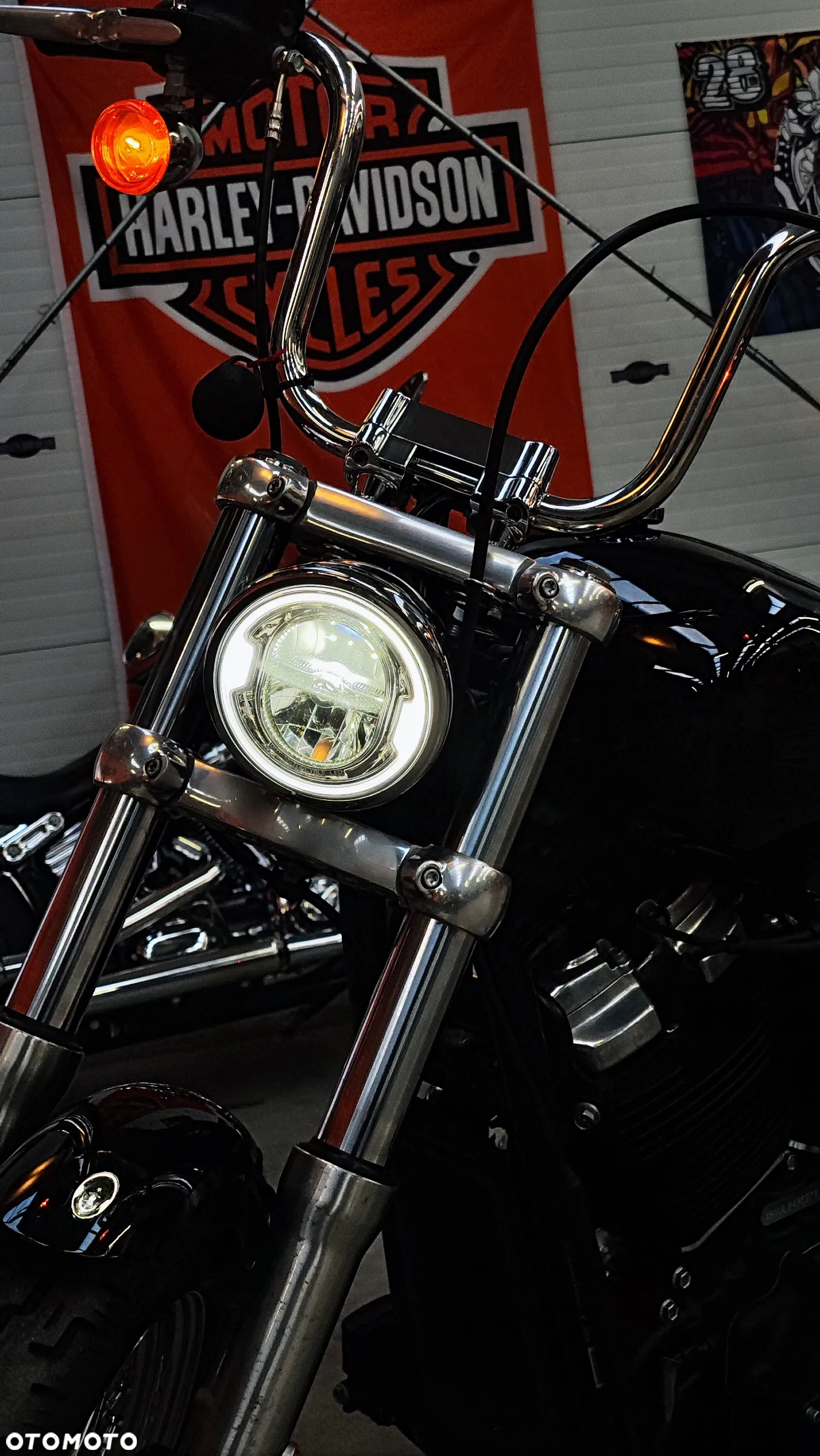Harley-Davidson Softail Standard - 10