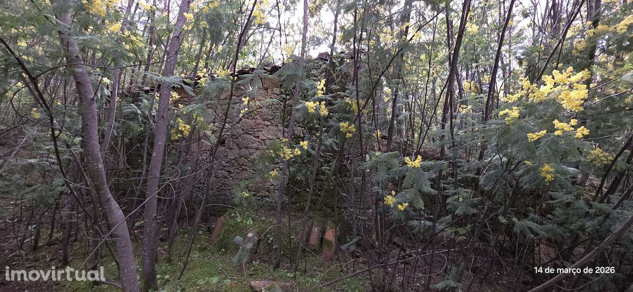 Terreno rústico 11.163m² com casa em ruínas, poço em pedra, ribeiro - Grande imagem: 5/18