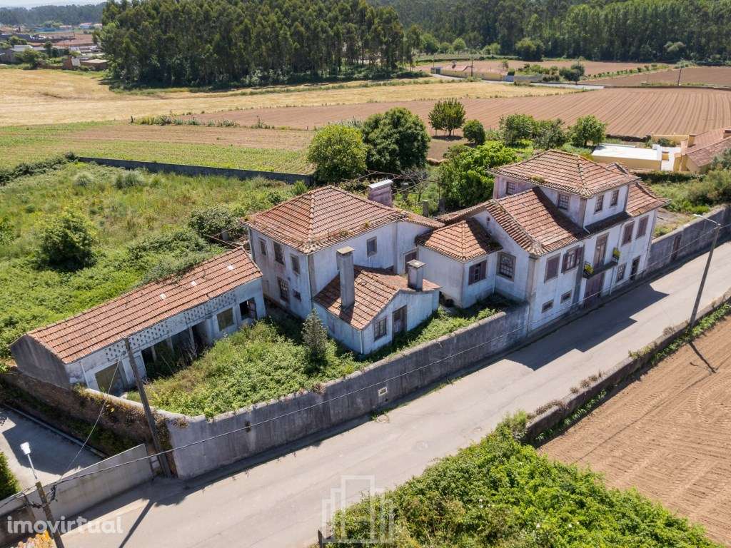 Quintinha T6 - Válega - Grande imagem: 5/53