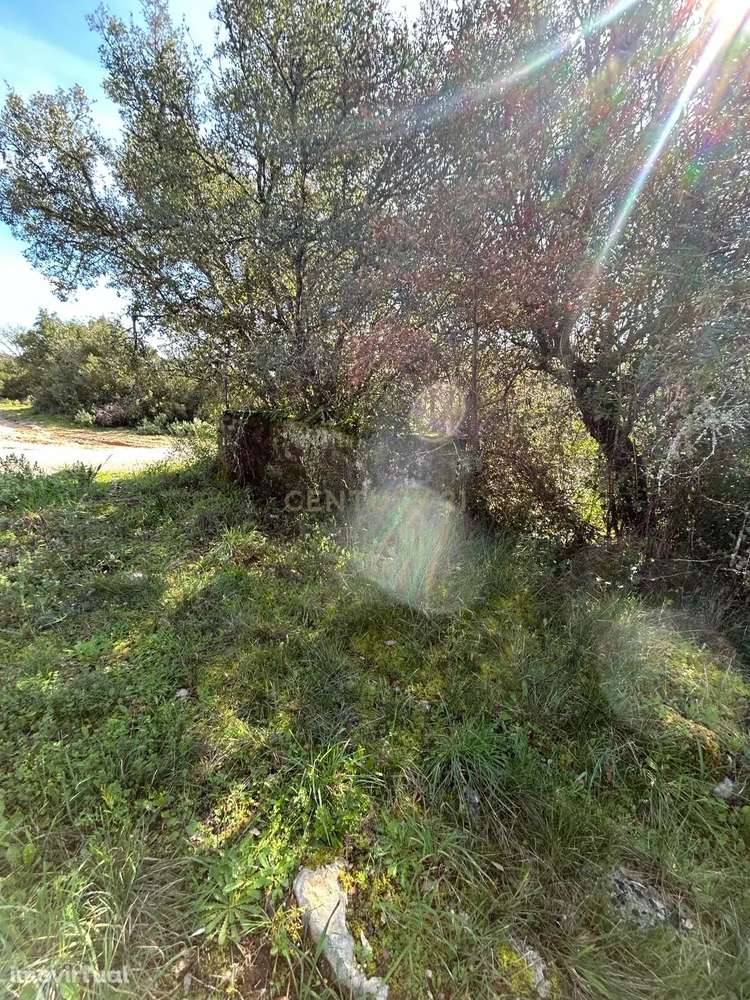 Terreno Rústico Alcaria - Grande imagem: 3/10