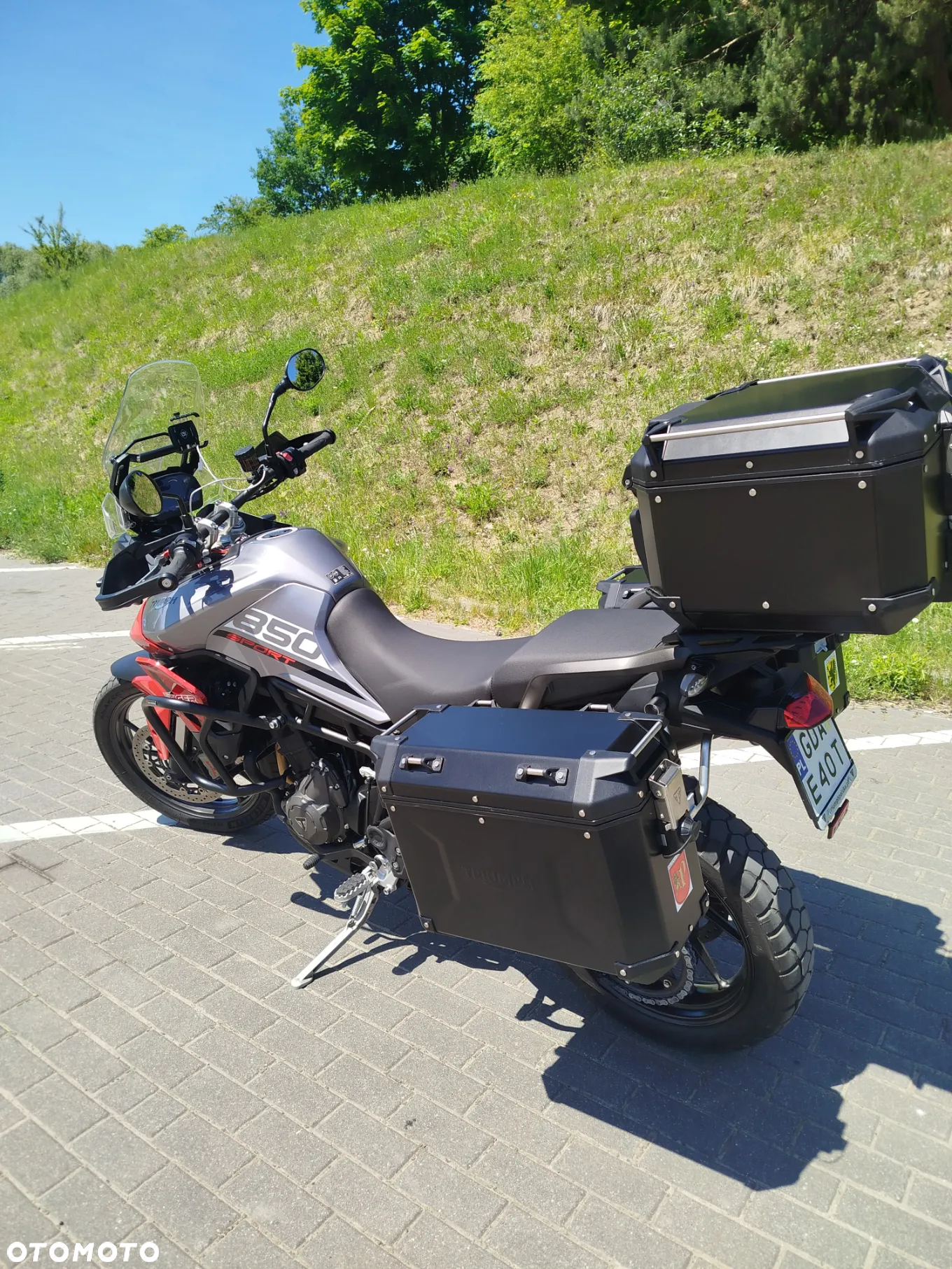 Triumph Tiger - 9