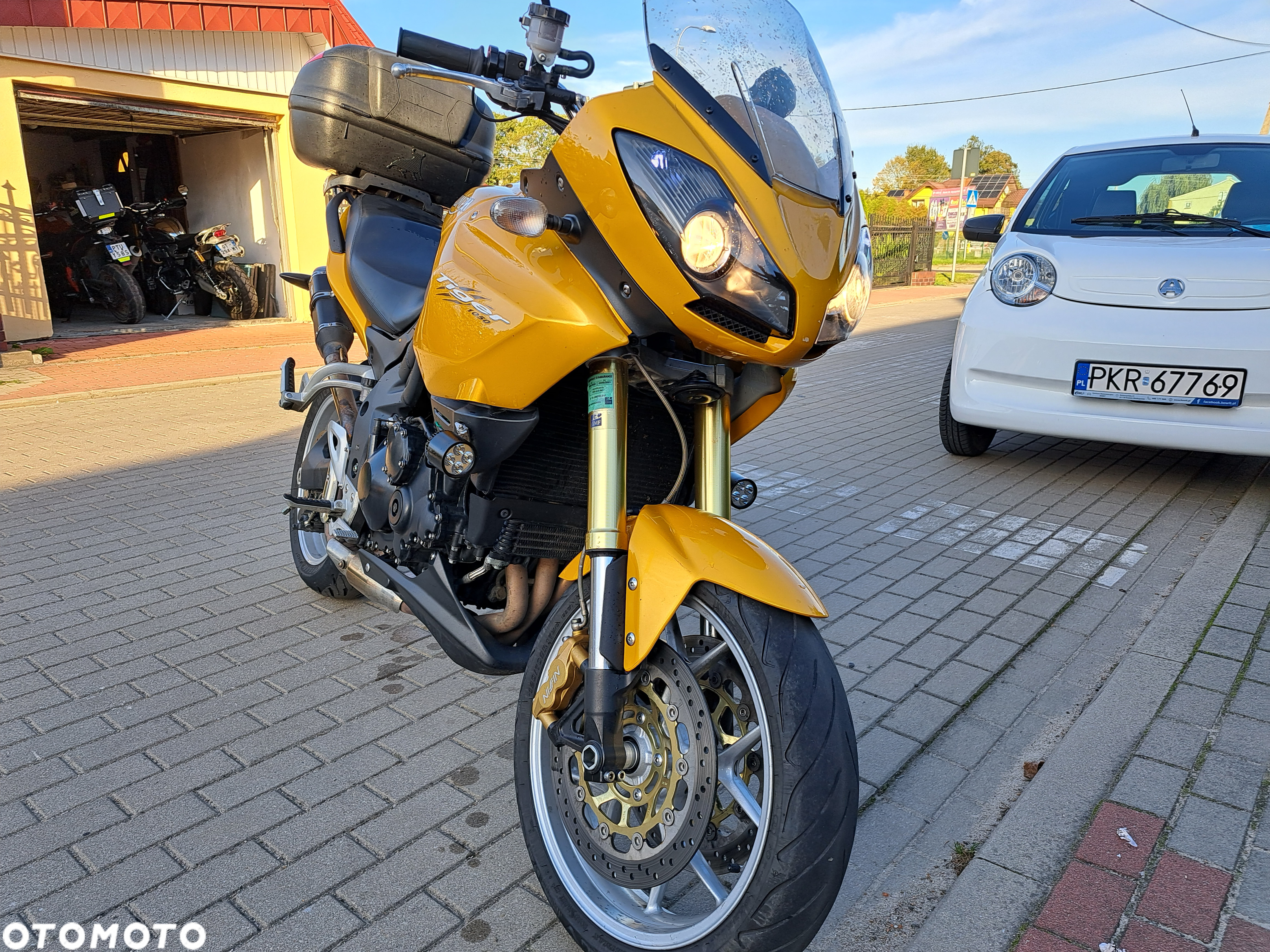 Triumph Tiger - 9