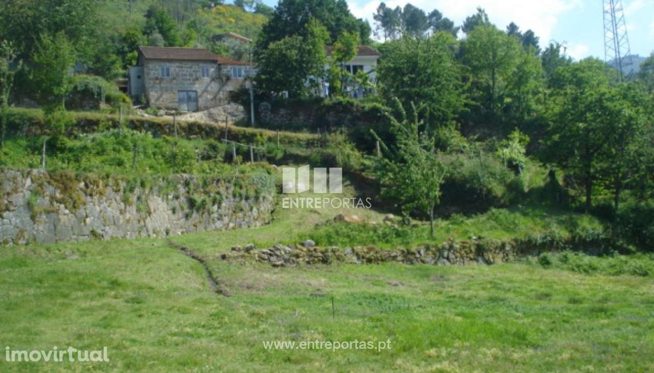 Venda Terreno, vista desafogada, São Cristóvão de Nogueira, Cinfãe - Grande imagem: 2/9