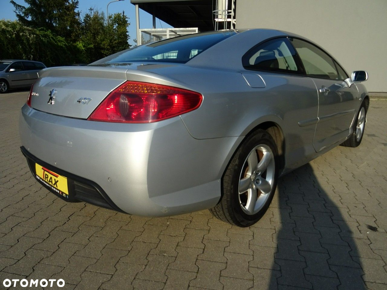 Peugeot 407 - 6