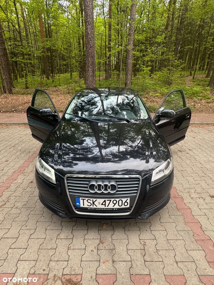 Audi A3 3-drzwiowe 1.6 TDI DPF Attraction - 12