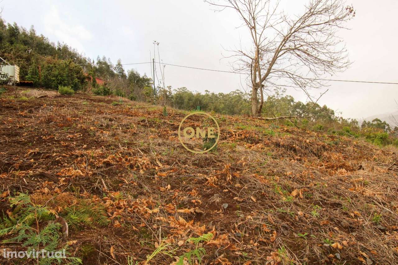 Terreno 600m2 - Grande imagem: 5/7