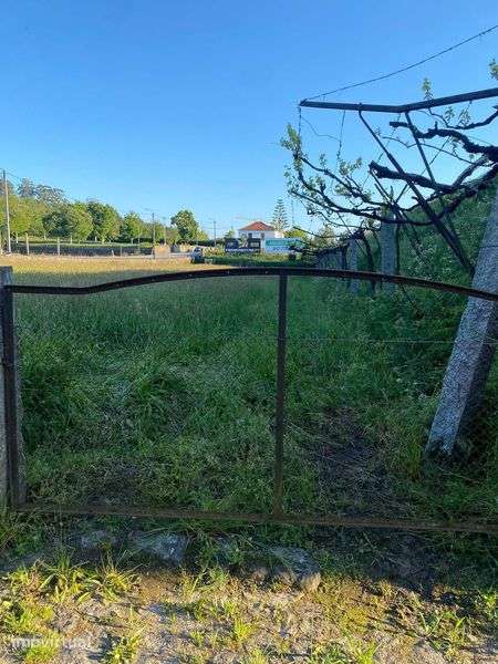 Vende-se Terreno Agrícola com Poço e Motor - Grande imagem: 2/8