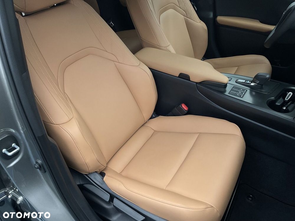 Lexus UX 300h F Sport Design AWD - 13