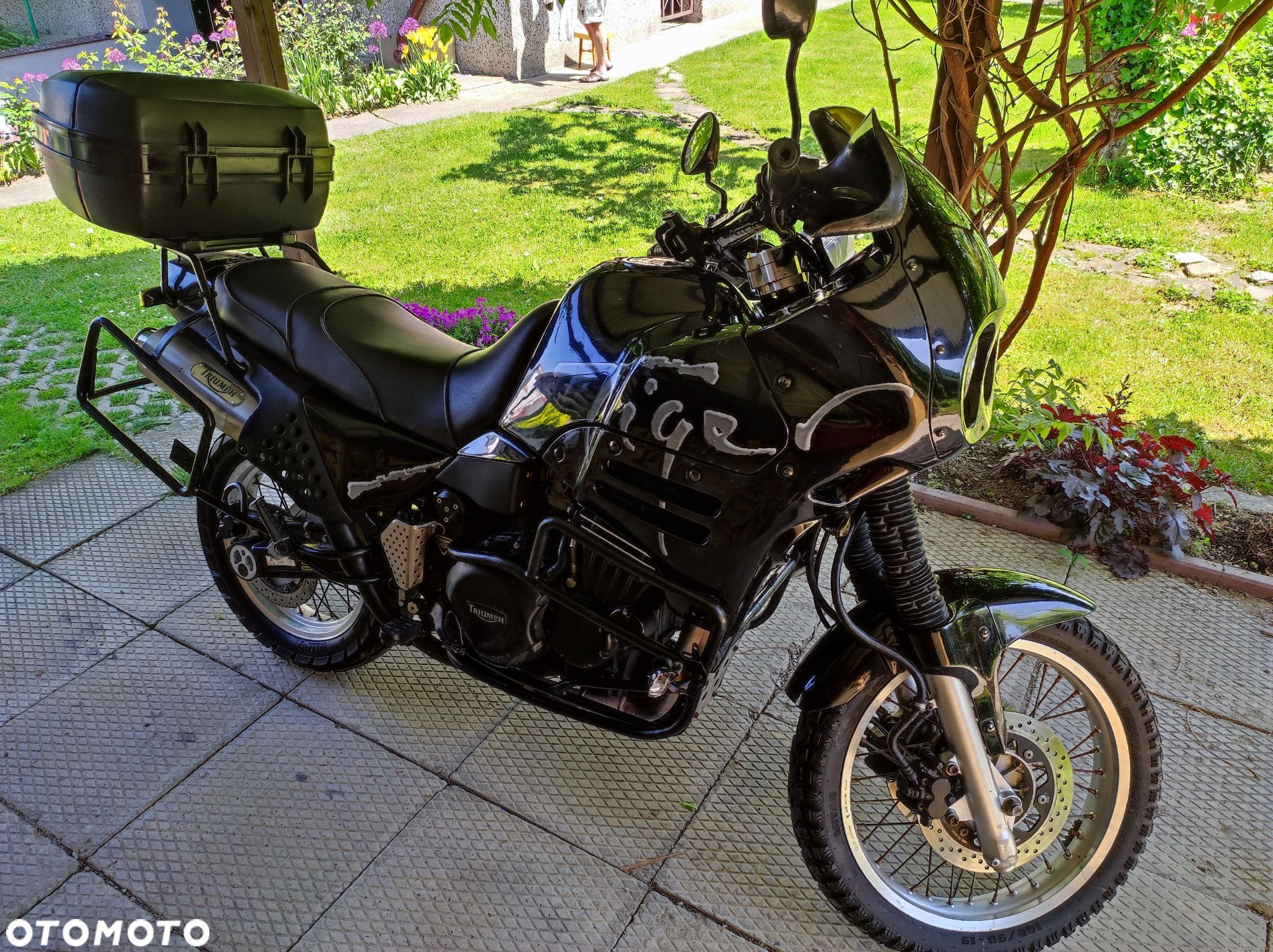 Triumph Tiger - 1