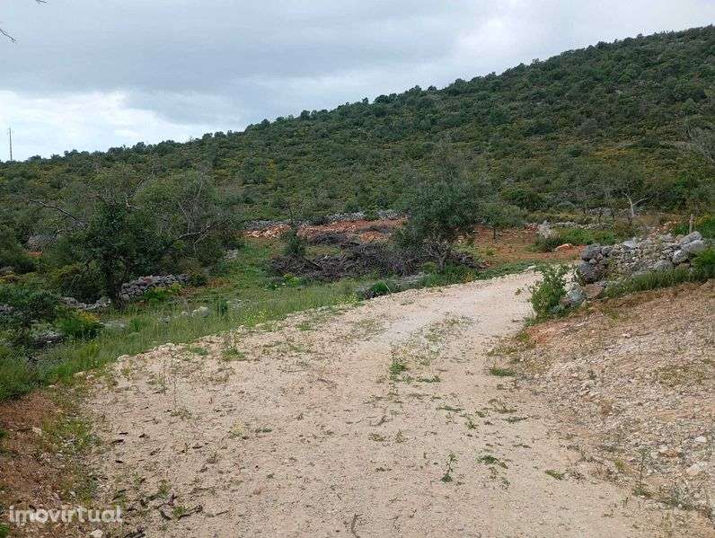 Terrenos Rústicos em Vale Judeu - Grande imagem: 4/4